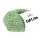 Lang Yarns Carpe Diem – 50g / 90m – Green (0017)