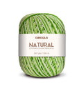 Craft project with Circulo Barroco Multicolor Yarn.